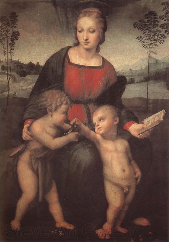 RAFFAELLO Sanzio The virgin mary  and John Norge oil painting art